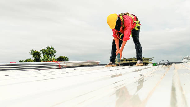 Roof Coating Services in Snowflake, AZ